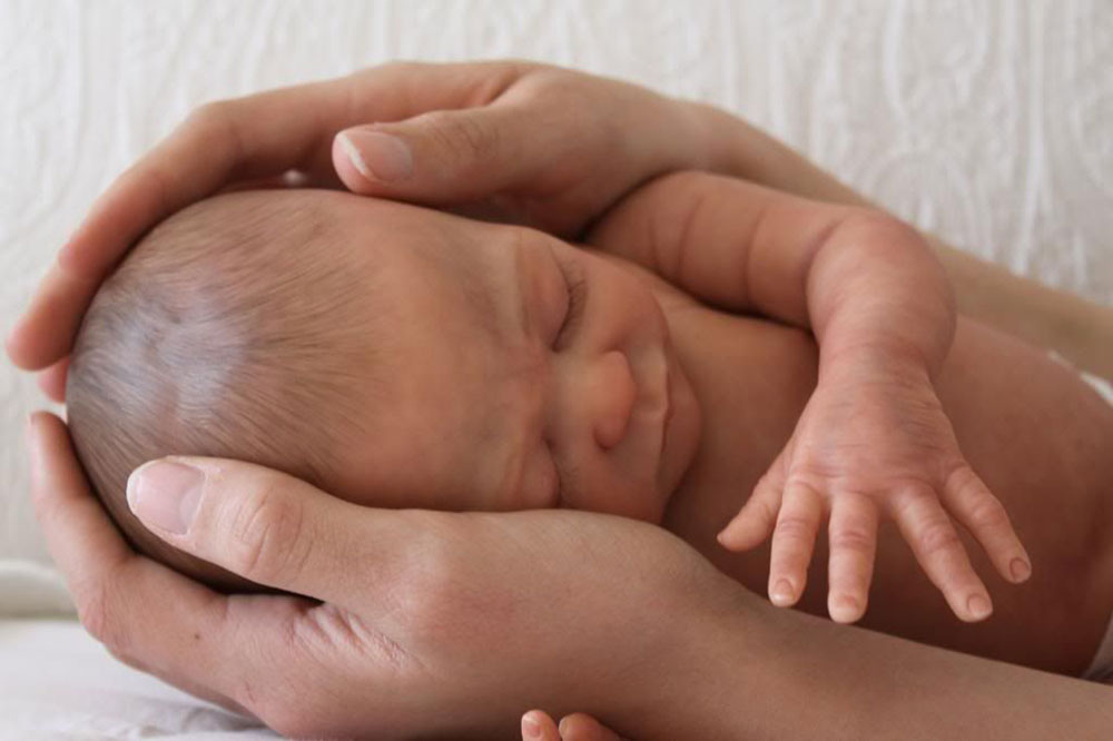 Histérico proteccion metálico Reborn: Los muñecos bebés más realistas